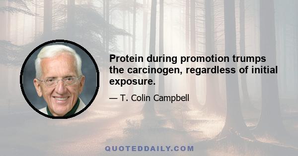 Protein during promotion trumps the carcinogen, regardless of initial exposure.