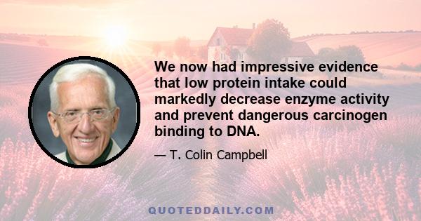 We now had impressive evidence that low protein intake could markedly decrease enzyme activity and prevent dangerous carcinogen binding to DNA.