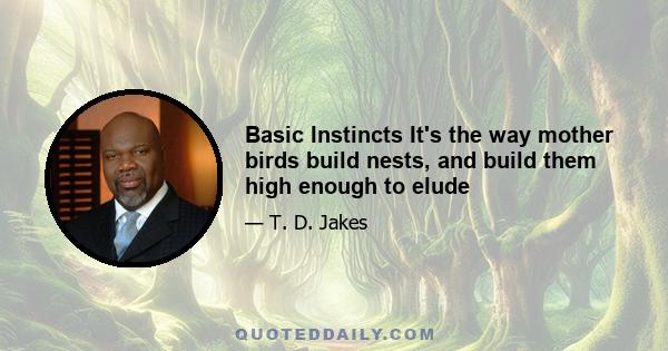 Basic Instincts It's the way mother birds build nests, and build them high enough to elude