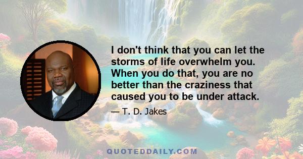 I don't think that you can let the storms of life overwhelm you. When you do that, you are no better than the craziness that caused you to be under attack.