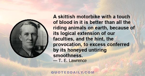 A skittish motorbike with a touch of blood in it is better than all the riding animals on earth, because of its logical extension of our faculties, and the hint, the provocation, to excess conferred by its honeyed