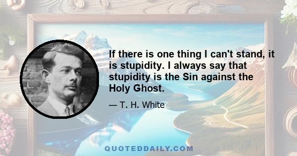 If there is one thing I can't stand, it is stupidity. I always say that stupidity is the Sin against the Holy Ghost.