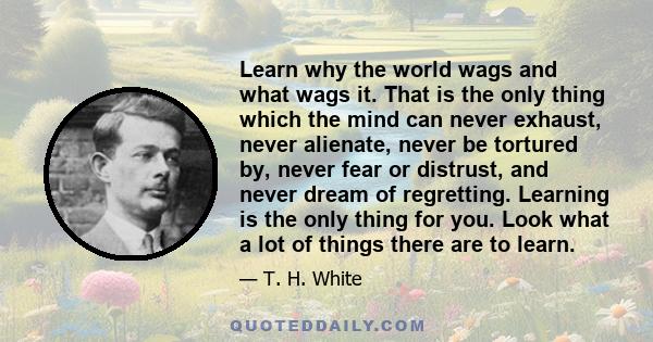 Learn why the world wags and what wags it. That is the only thing which the mind can never exhaust, never alienate, never be tortured by, never fear or distrust, and never dream of regretting. Learning is the only thing 