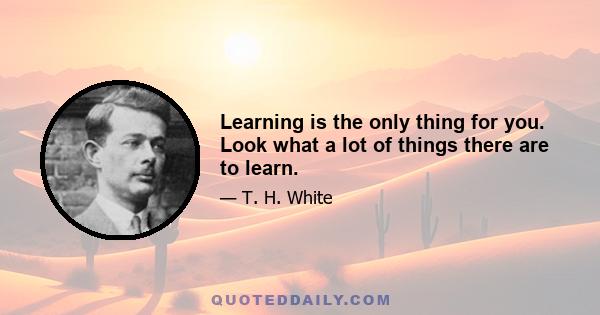 Learning is the only thing for you. Look what a lot of things there are to learn.