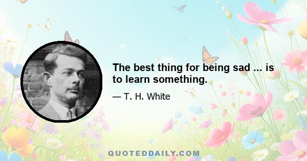 The best thing for being sad ... is to learn something.