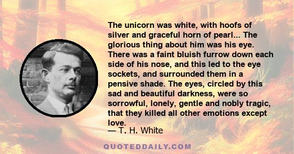 The unicorn was white, with hoofs of silver and graceful horn of pearl... The glorious thing about him was his eye. There was a faint bluish furrow down each side of his nose, and this led to the eye sockets, and