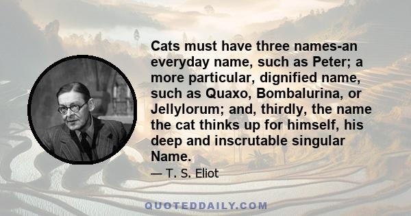 Cats must have three names-an everyday name, such as Peter; a more particular, dignified name, such as Quaxo, Bombalurina, or Jellylorum; and, thirdly, the name the cat thinks up for himself, his deep and inscrutable