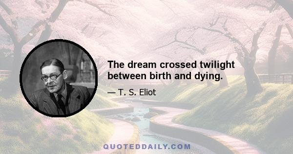 The dream crossed twilight between birth and dying.