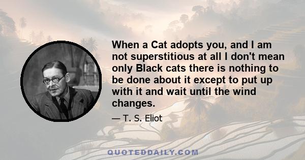 When a Cat adopts you, and I am not superstitious at all I don't mean only Black cats there is nothing to be done about it except to put up with it and wait until the wind changes.