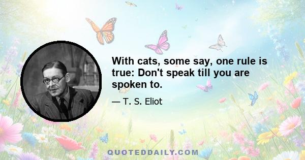 With cats, some say, one rule is true: Don't speak till you are spoken to.