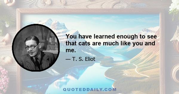 You have learned enough to see that cats are much like you and me.