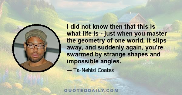 I did not know then that this is what life is - just when you master the geometry of one world, it slips away, and suddenly again, you're swarmed by strange shapes and impossible angles.