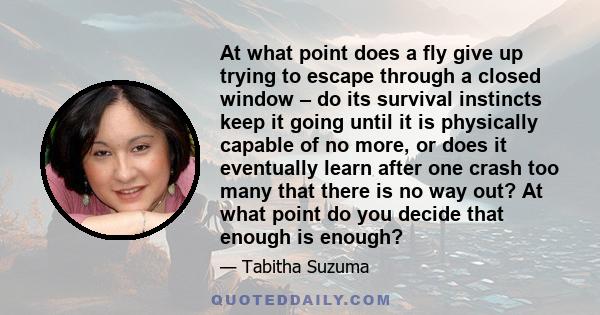 At what point does a fly give up trying to escape through a closed window – do its survival instincts keep it going until it is physically capable of no more, or does it eventually learn after one crash too many that