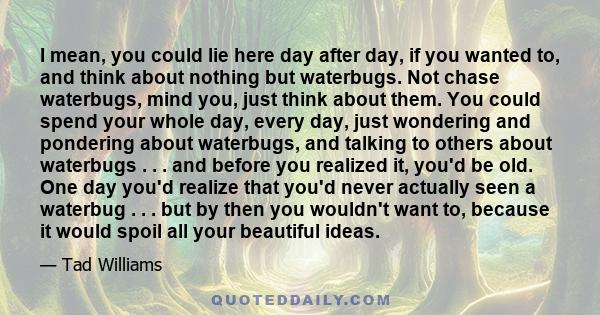 I mean, you could lie here day after day, if you wanted to, and think about nothing but waterbugs. Not chase waterbugs, mind you, just think about them. You could spend your whole day, every day, just wondering and