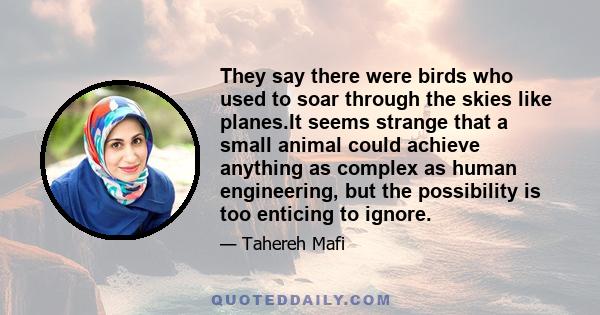 They say there were birds who used to soar through the skies like planes.It seems strange that a small animal could achieve anything as complex as human engineering, but the possibility is too enticing to ignore.