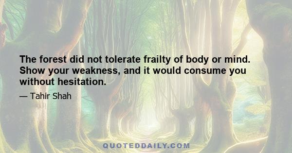 The forest did not tolerate frailty of body or mind. Show your weakness, and it would consume you without hesitation.