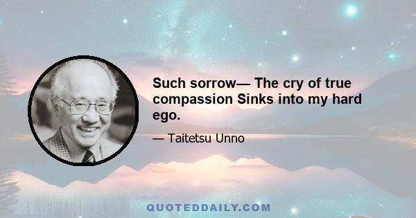 Such sorrow— The cry of true compassion Sinks into my hard ego.