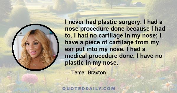 I never had plastic surgery. I had a nose procedure done because I had to. I had no cartilage in my nose; I have a piece of cartilage from my ear put into my nose. I had a medical procedure done. I have no plastic in my 