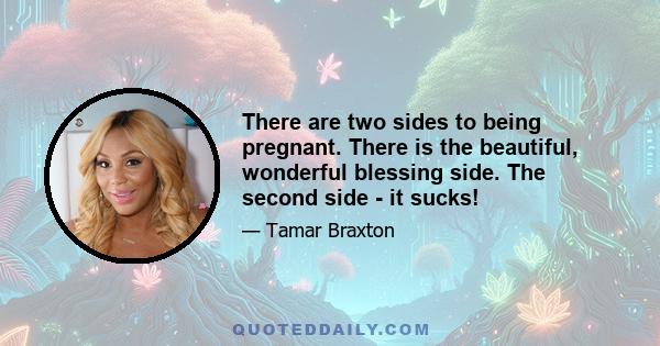 There are two sides to being pregnant. There is the beautiful, wonderful blessing side. The second side - it sucks!