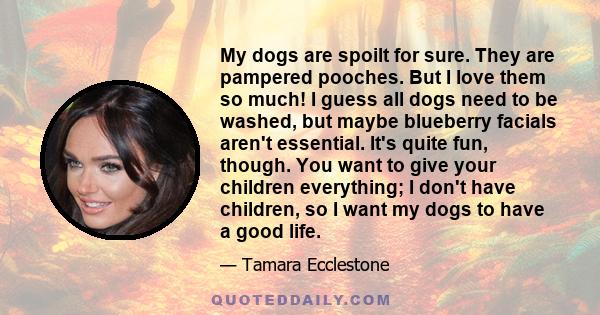 My dogs are spoilt for sure. They are pampered pooches. But I love them so much! I guess all dogs need to be washed, but maybe blueberry facials aren't essential. It's quite fun, though. You want to give your children