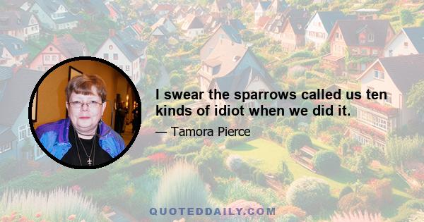 I swear the sparrows called us ten kinds of idiot when we did it.