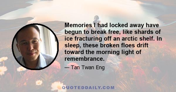 Memories I had locked away have begun to break free, like shards of ice fracturing off an arctic shelf. In sleep, these broken floes drift toward the morning light of remembrance.