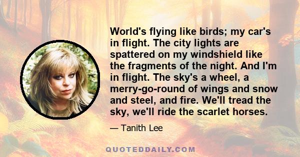 World's flying like birds; my car's in flight. The city lights are spattered on my windshield like the fragments of the night. And I'm in flight. The sky's a wheel, a merry-go-round of wings and snow and steel, and