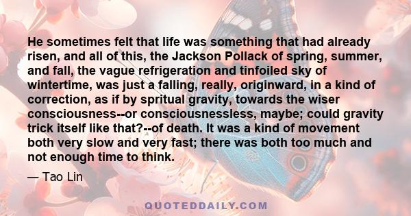 He sometimes felt that life was something that had already risen, and all of this, the Jackson Pollack of spring, summer, and fall, the vague refrigeration and tinfoiled sky of wintertime, was just a falling, really,