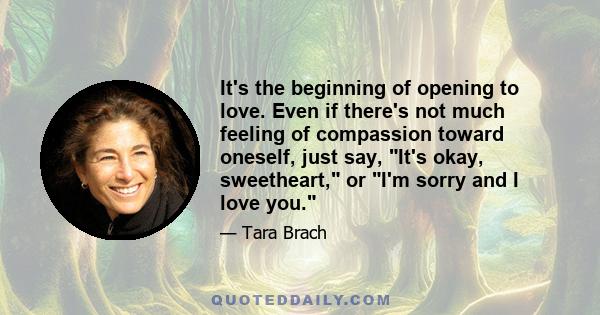 It's the beginning of opening to love. Even if there's not much feeling of compassion toward oneself, just say, It's okay, sweetheart, or I'm sorry and I love you.