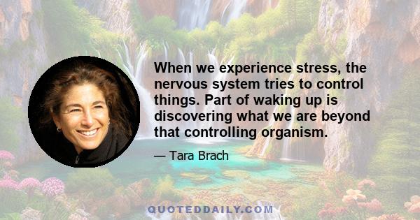 When we experience stress, the nervous system tries to control things. Part of waking up is discovering what we are beyond that controlling organism.