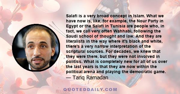 Salafi is a very broad concept in Islam. What we have now is, like, for example, the Nour Party in Egypt or the Salafi in Tunisia are people who, in fact, we call very often Wahhabi, following the Saudi school of