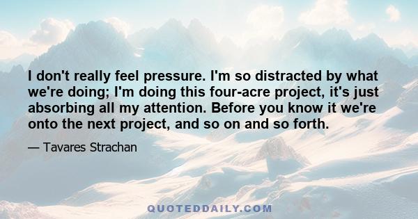 I don't really feel pressure. I'm so distracted by what we're doing; I'm doing this four-acre project, it's just absorbing all my attention. Before you know it we're onto the next project, and so on and so forth.