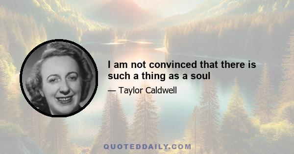 I am not convinced that there is such a thing as a soul