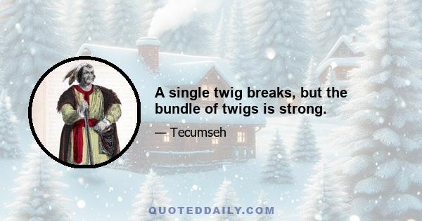 A single twig breaks, but the bundle of twigs is strong.