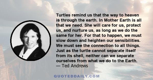 Turtles remind us that the way to heaven is through the earth. In Mother Earth is all that we need. She will care for us, protect us, and nurture us, as long as we do the same for her. For that to happen, we must slow