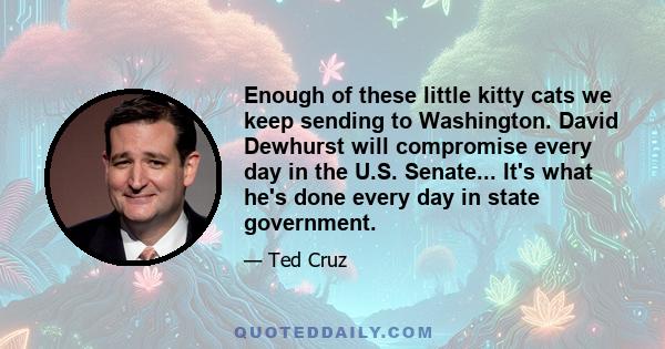 Enough of these little kitty cats we keep sending to Washington. David Dewhurst will compromise every day in the U.S. Senate... It's what he's done every day in state government.