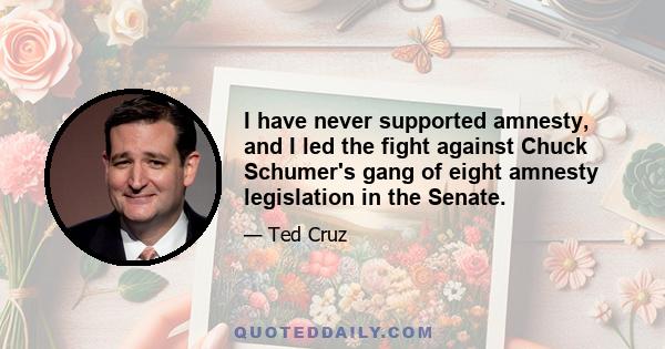 I have never supported amnesty, and I led the fight against Chuck Schumer's gang of eight amnesty legislation in the Senate.