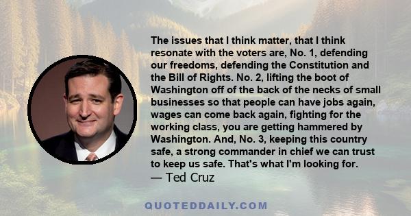 The issues that I think matter, that I think resonate with the voters are, No. 1, defending our freedoms, defending the Constitution and the Bill of Rights. No. 2, lifting the boot of Washington off of the back of the