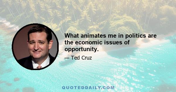 What animates me in politics are the economic issues of opportunity.