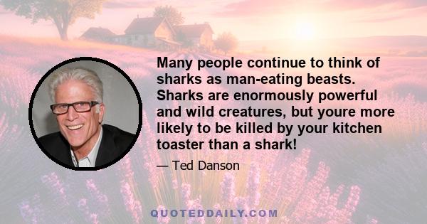 Many people continue to think of sharks as man-eating beasts. Sharks are enormously powerful and wild creatures, but youre more likely to be killed by your kitchen toaster than a shark!