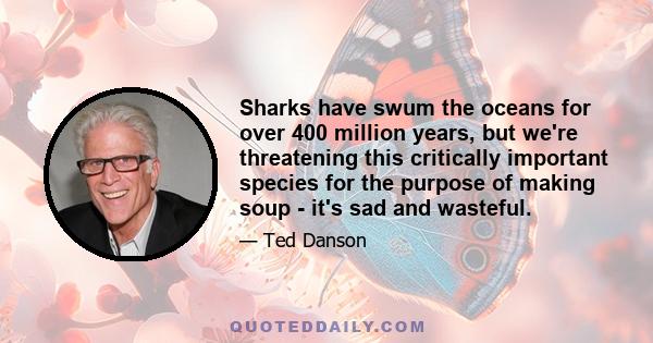 Sharks have swum the oceans for over 400 million years, but we're threatening this critically important species for the purpose of making soup - it's sad and wasteful.