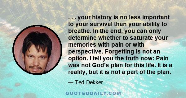 . . . your history is no less important to your survival than your ability to breathe. In the end, you can only determine whether to saturate your memories with pain or with perspective. Forgetting is not an option. I