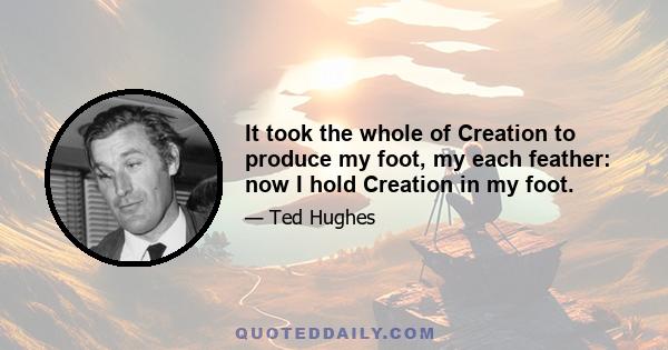 It took the whole of Creation To produce my foot, my each feather: Now I hold Creation in my foot. Or fly up, and revolve it all slowly - I kill where I please because it is all mine. There is no sophistry in my body: