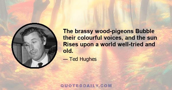 The brassy wood-pigeons Bubble their colourful voices, and the sun Rises upon a world well-tried and old.