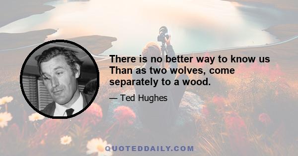 There is no better way to know us Than as two wolves, come separately to a wood.