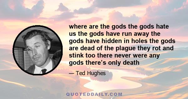 where are the gods the gods hate us the gods have run away the gods have hidden in holes the gods are dead of the plague they rot and stink too there never were any gods there’s only death