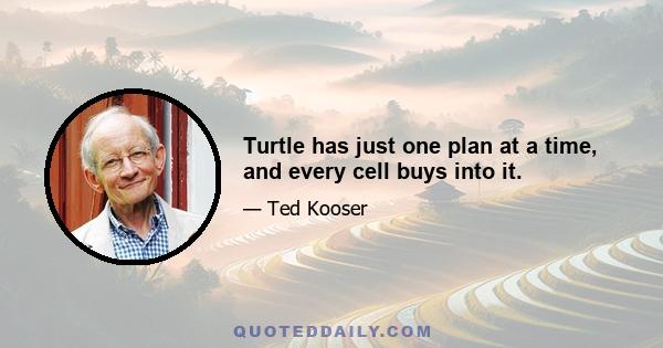 Turtle has just one plan at a time, and every cell buys into it.