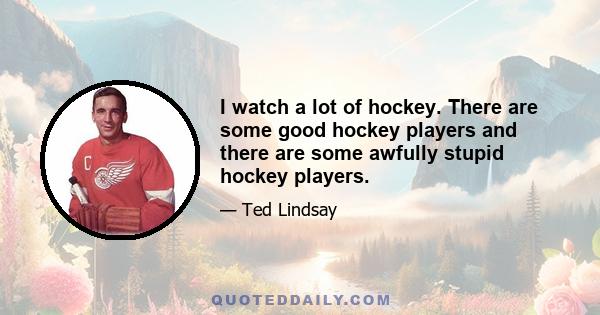 I watch a lot of hockey. There are some good hockey players and there are some awfully stupid hockey players.