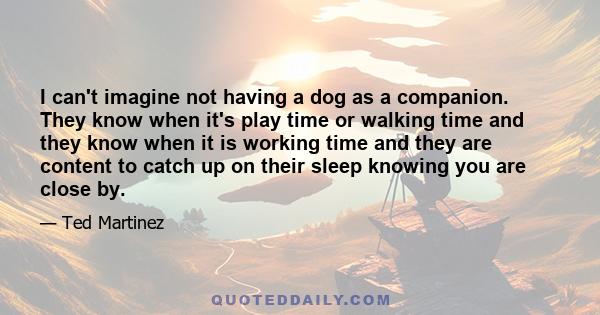 I can't imagine not having a dog as a companion. They know when it's play time or walking time and they know when it is working time and they are content to catch up on their sleep knowing you are close by.