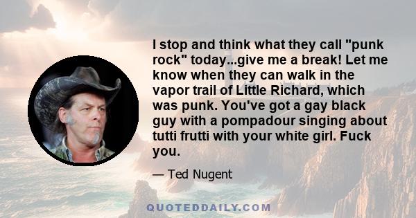 I stop and think what they call punk rock today...give me a break! Let me know when they can walk in the vapor trail of Little Richard, which was punk. You've got a gay black guy with a pompadour singing about tutti